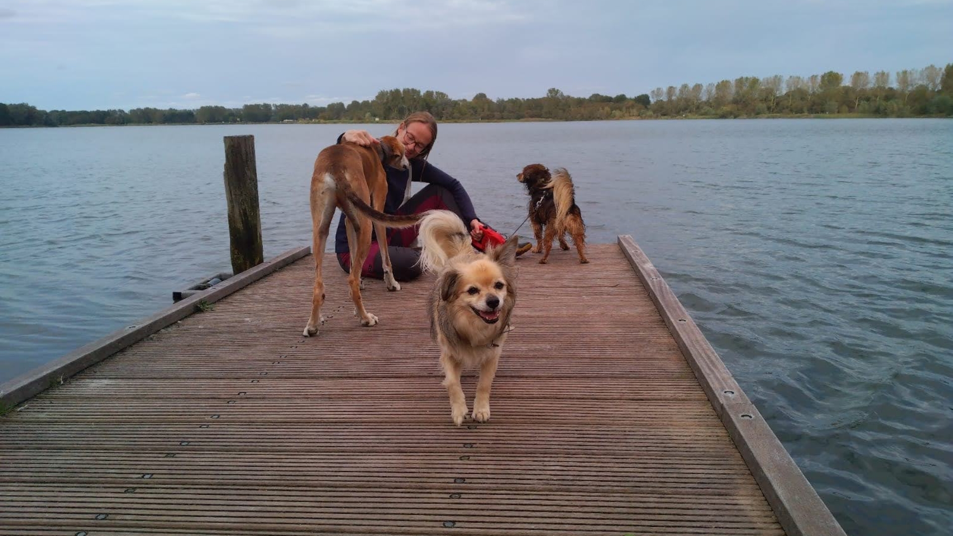 Loes met 3 oppashonden op een steiger aan het water