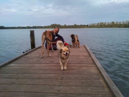 Loes met 3 oppashonden op een steiger aan het water